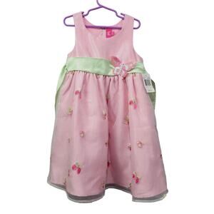 Pinky Girl's Butterfly Tulle Dress Size 6X NWT